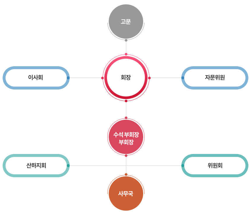 고문 / 이사회 / 회장 / 자문위원 / 수석 부회장, 부회장 / 산하지회 / 위원회 / 사무국